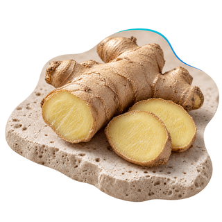 Ginger rhizome extract