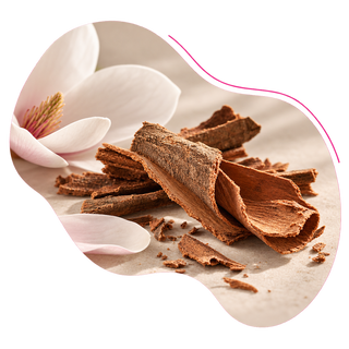 Magnolia bark extract